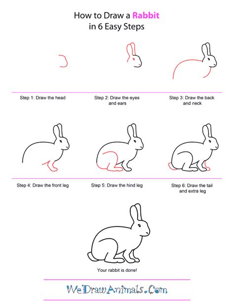 How To Draw Easy Animals Step By Step Image Guide Easy Drawings For