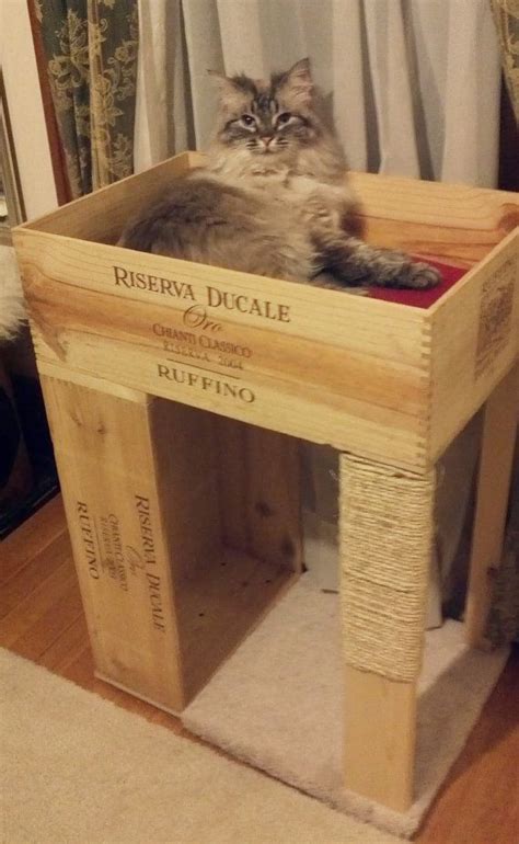 10 Purrfect Diy Pallet Cat Beds For Your Pampered Feline