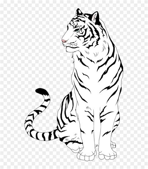 900 X 900 7 White Tiger Drawing Easy Hd Png Download 900x900