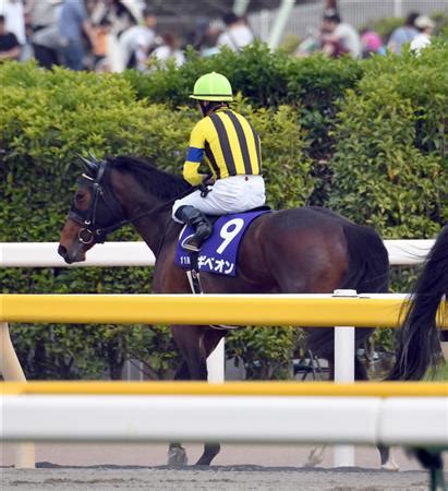 大丈夫かコイツ 実際にセックスしよう 生でやれよ 空耳かと思ったら違かっさ マイリスして晒せ キムチィ～ この椅子臭そう なんならマンコまる. 【NHKマイル】ギベオン2着 ダービー挑戦視野｜競馬ニュース ...