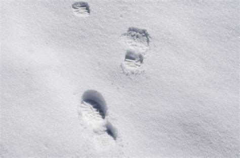 Free Images White Footprint Weather Season Blizzard