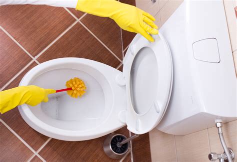 This Diy Toilet Bowl Cleaner Outshines The Competition