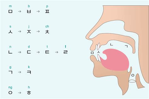 韩语发音和语法规则指南 88yabo88