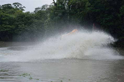 Filewater Splash During Dredging Kings Lake Dredging Banyan Avenue