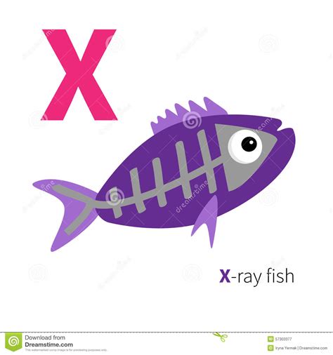 Letter X X Ray Fish Zoo Alphabet English Abc With Animals Education