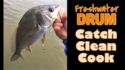 Freshwater Drum Catch Clean Cook Tennessee Riverside Youtube