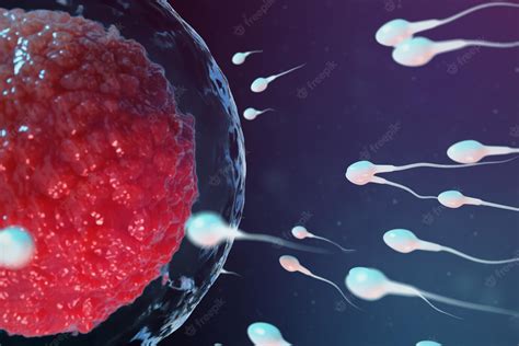Premium Photo 3d Illustration Sperm And Egg Cell Ovum Sperm