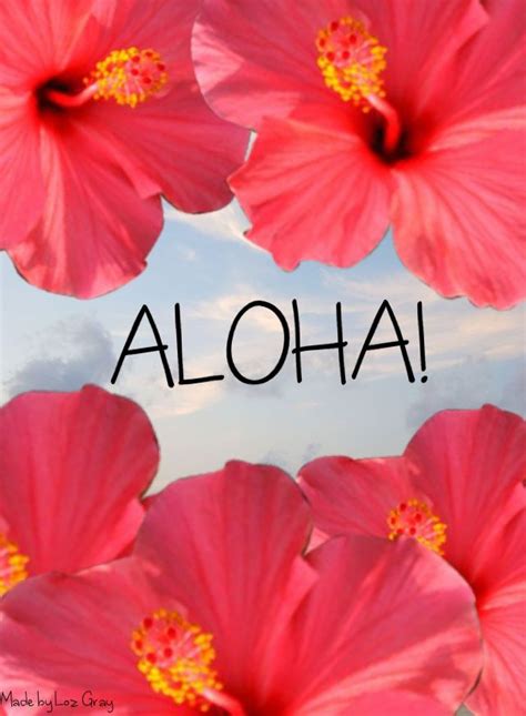 Aloha Wallpaper Hibiscus Flower Petal Chinese Hibiscus Hawaiian
