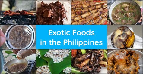 Exotic Foods In The Philippines Discover The Philippines