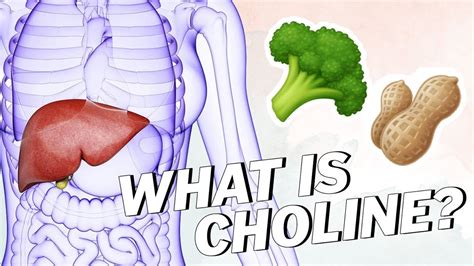 Nuts, such as almonds, cashews, brazil nuts, flax seeds, pistachios are high in choline content. What Is CHOLINE? (And Can You Get it On a Vegan Diet ...