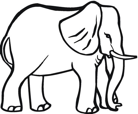 Elefante 6401 Animales Dibujos Para Colorear E Imprimir Gratis