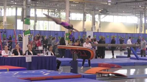 Ontario Provincial Gymnastics Championships Marley Vault 2 Apr 7 2017 Youtube