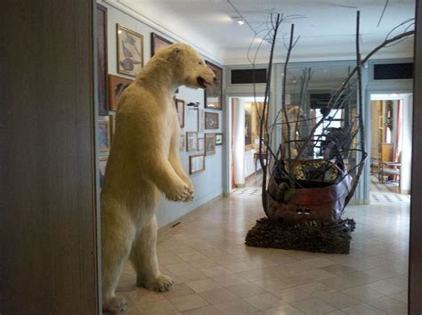 Taxidermied Polar Bear And Other Objects At The Musee De La Chasse Et