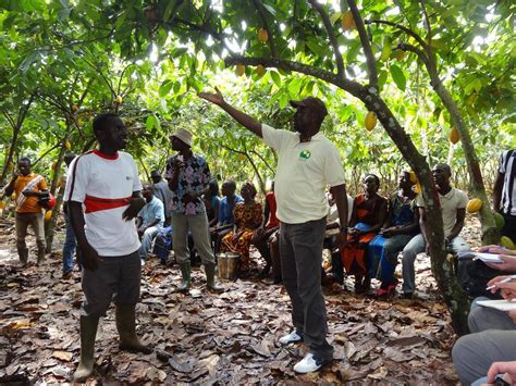 Accelerating Drive Towards Sustainable Cocoa With Launch Of Chf 40