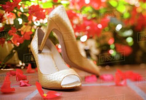 Close Up Of Elegant High Heeled Shoes Stock Photo Dissolve