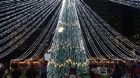 Christmas Tree Lighting Ceremony Youtube