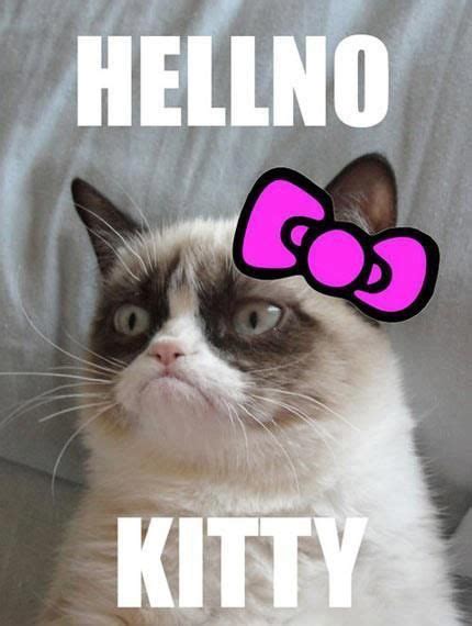 Go Away Kitty Funny Grumpy Cat Memes Grumpy Cat Humor