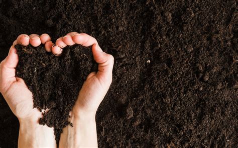 Creating A Healthy Soil The Key To Healthy Plants Distance Learning