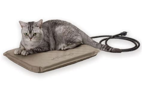 Top 6 Best Heated Cat Bed Reviewed And Buying Guide