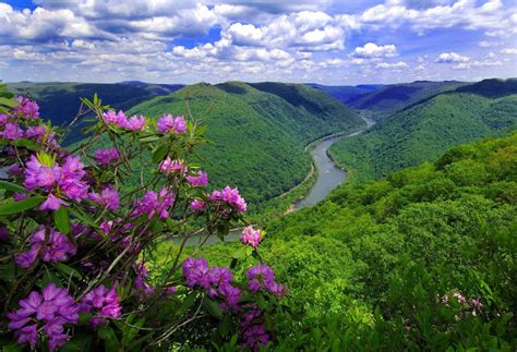 Nature River Mountains Flowers Wallpaper 2200x1500