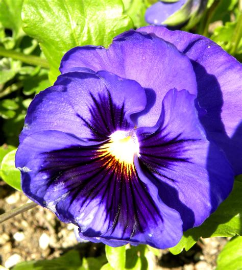 We did not find results for: February fruits, flowers and veggies in a southern ...