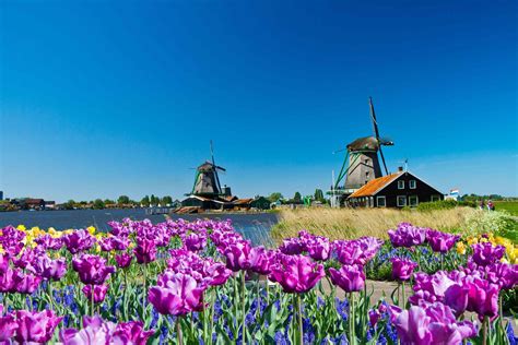 Netherlands Landscape Wallpapers Top Free Netherlands Landscape