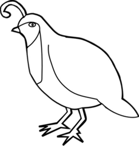 Download High Quality Animal Clipart Quail Transparent Png Images Art