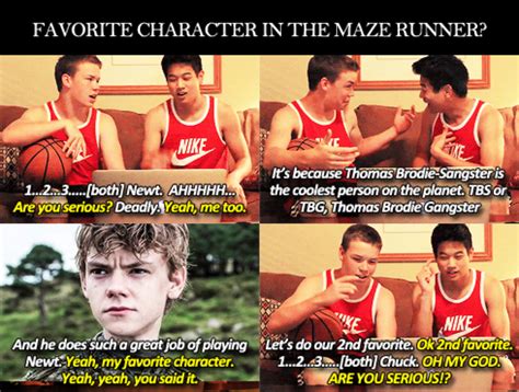 Maze Runner Quotes Funny Movie Quotesgram