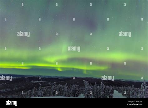 Aurora Borealis Northern Lights Near Fairbanks Alaska Stock Photo