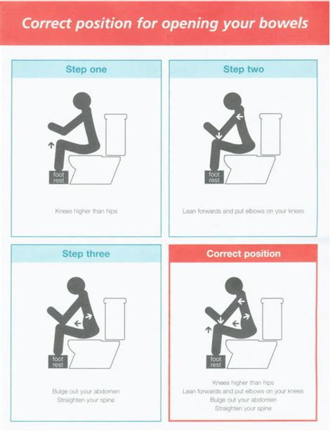 Correct Position For Opening Your Bowels