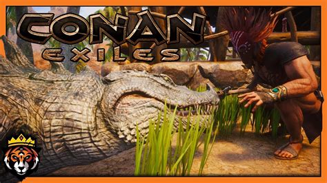 Tamed & Full Grown Alligator Pets! (Conan Exiles Gameplay ...