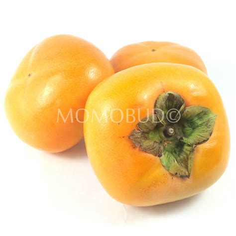 Momobud Online Premium Fruits Delivery In Singapore