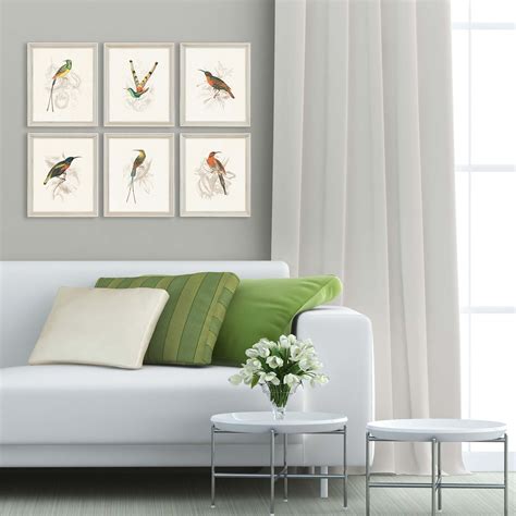 Hummingbirds Framed Wall Art Set Of 6 13 X 11 Fine