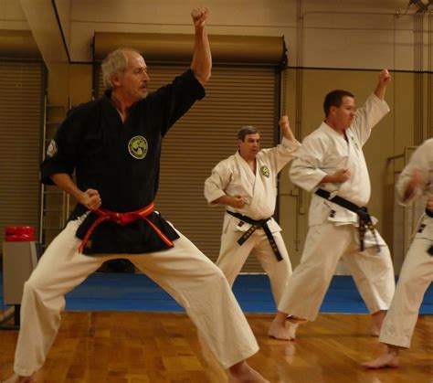 KARATE & KOBUDO KATA - Living Encyclopedias of Self-Defense Techniques: Traditional Karate Kata