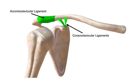 Ac Joint Dislocation Treatment Your Shoulder