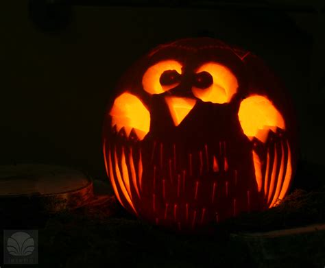 My owl pumpkin #owl #pumpkin #halloween | Pumpkin stencil, Owl pumpkin, Pumpkin