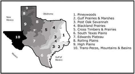 Solved The Map Shows The Various Ecoregions Of Texas Which Ecoregion