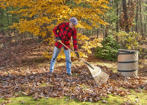 Severe Dangers From Raking Leaves And Hanging Decorations And 8 Ways To