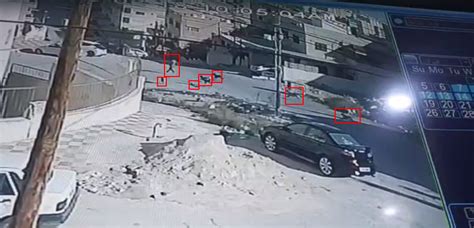 لقطات مرعبة توثق لحظة هجوم كلاب ضالة على سيدة في الزرقاء الجديدة الأردن اليوم وكالة أنباء