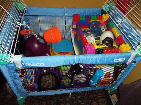 Ratty Playpen Pet Rat Cages Diy Rat Toys Pet Rats