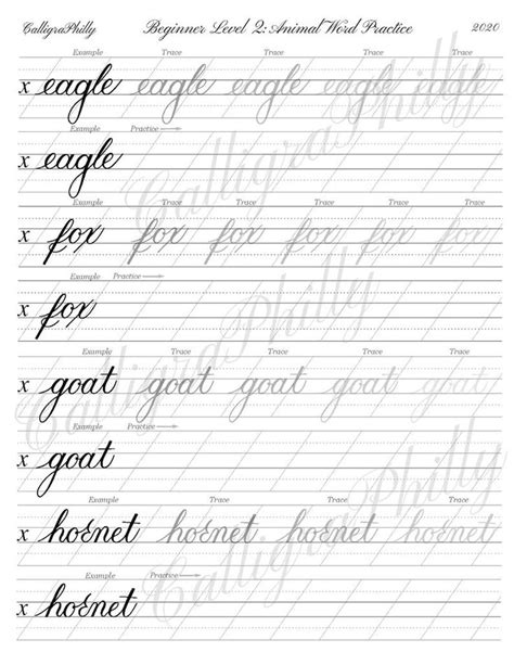 These modern calligraphy practice sheets are designed to be completed with any brush pen or even crayola markers. Beginner Level 2: Calligraphy Word Practice Worksheet Animal | Etsy in 2020 | Calligraphy words ...