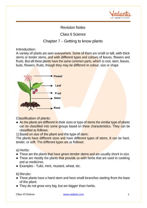 Getting To Know Plants Class 6 Notes Cbse Science Chapter 7 Pdf