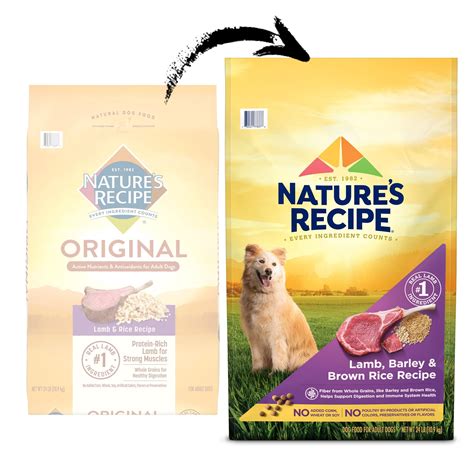 Natures Recipe Original Lamb And Rice Recipe Adult Dry Dog Food 24 Lbs
