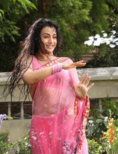 Trisha Krishnan Photos In Pink Wet Saree Actress Doodles