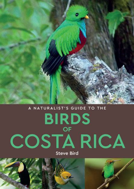 A Naturalists Guide To The Birds Of Costa Rica Jb Publishing