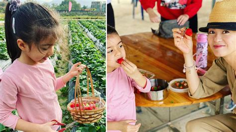 Gigi Leung And Her 5 Year Old Daughter Enjoy Rare Day Out At The Farm 8days