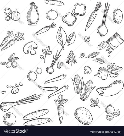 Fresh Vegetables And Herbs Sketches Royalty Free Vector