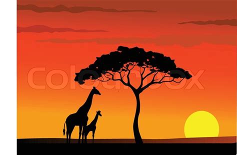 Safari Afrika Sonnenuntergang Stock Vektor Colourbox
