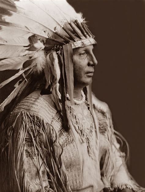 Indian Chief Nolan Dalla Native American Peoples Native American History Native American