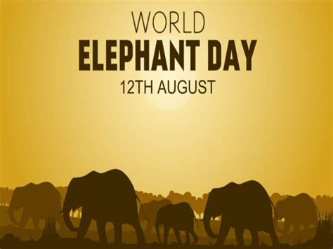 World Elephant Day 2023 Interesting Facts about Elephant That will